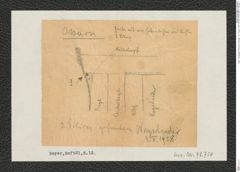 Seite 1, Eingelegte Planskizze, Beilage 1 zu "Ossarn 1928" (NHMW-PRAE-BBB-21-Beilage-1)
